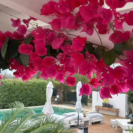 Quinta Oliveiras *