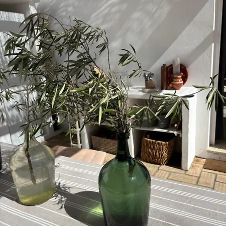 Homestay Quinta Oliveiras *