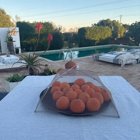 Quinta Oliveiras Homestay *